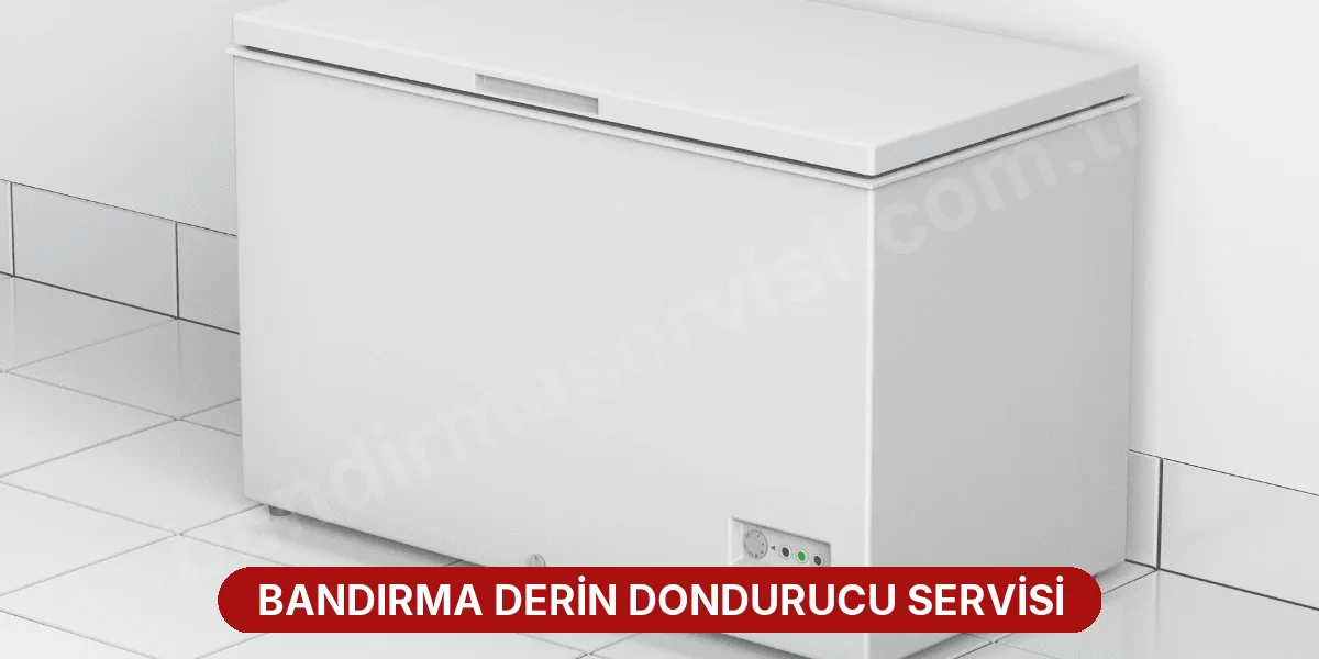 Bandırma Derin Dondurucu Servisi
