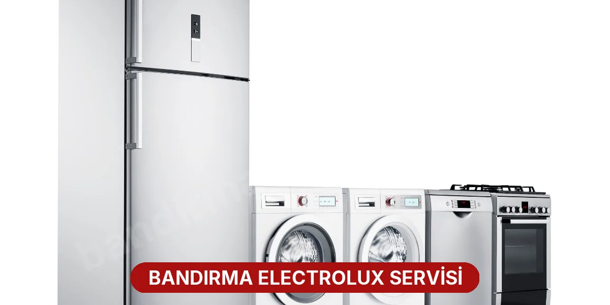 Bandırma Electrolux Servisi