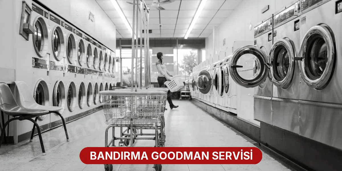 Bandırma Goodman Servisi
