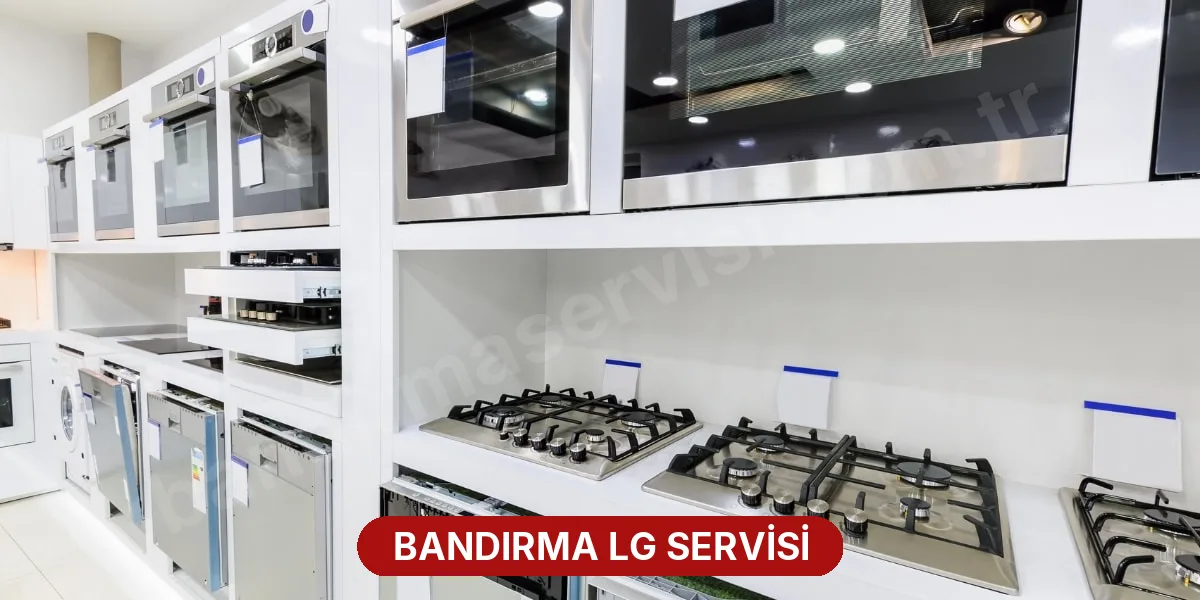 Bandırma LG Servisi