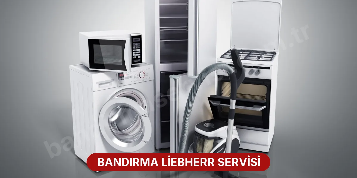 Bandırma Liebherr Servisi