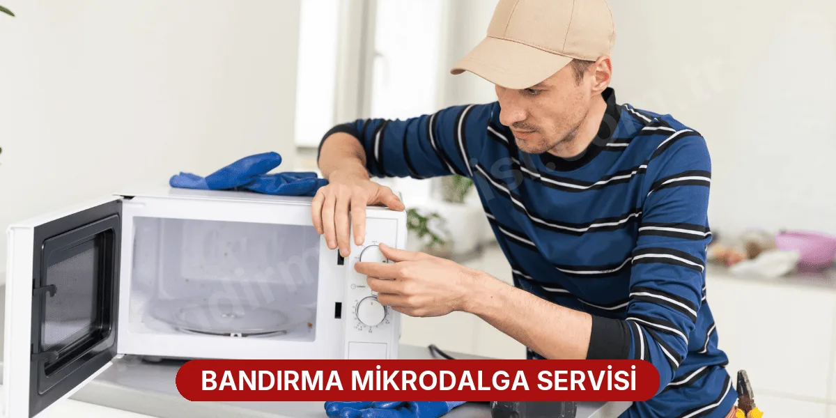 Bandırma Mikrodalga Servisi